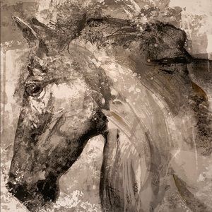 Meet your Posher, Jeimi